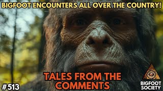 Bigfoot Encounters All Over the USA Tales from the Comments  Bigfoot Society 513 [upl. by Nitsa845]