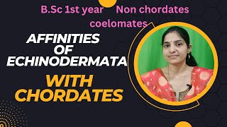 Affinities of Echinoderms With Chordates BSc 1st yearAffinities with chordatescoelomates [upl. by Adoh]