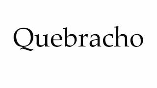 How to Pronounce Quebracho [upl. by Lilli]