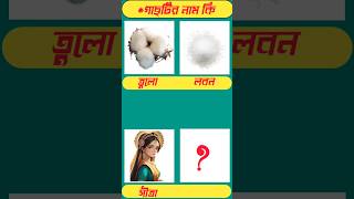 গাছটির নাম কিGuess The TreesGK Mojar Dhadhashortsviraltrading ধাঁধাধাঁধাpointpuzzlebeng [upl. by Loseff]