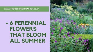 6 perennial flowers that bloom all summer  plus a bonus plant [upl. by Marten]