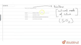 What is true of bacillariophyceae [upl. by Aiselad450]