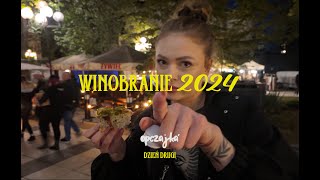 VLOG Winobranie 2024 Zielona Góra 23 [upl. by Paluas268]