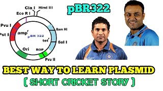 EASY WAY TO LEARN PLASMID AS CLONING VECTOR HINDI   SHORT STORY OF CRICKET [upl. by Emile853]