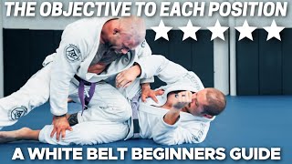 WHITE BELT POSITIONAL GUIDE  a must watch for newbies [upl. by Nitsir]