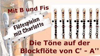 Die Töne und Griffe C  A auf der Blockflöte  Glücklich mit Musik  Blockflöte Griffe [upl. by Gone]