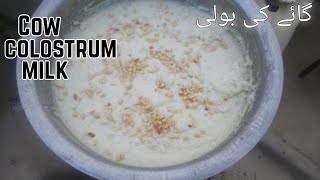 Colostrum Milk Sweet Recipe  گائے کی بولی  Happy Village Celebration [upl. by Deegan509]