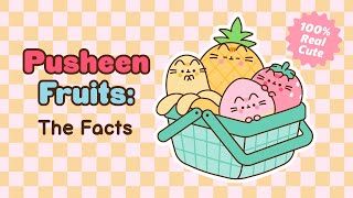 Pusheen Fruits The Facts [upl. by Ainaled]