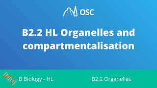 B22 HL Organelles and Compartmentalisation IB Biology HL [upl. by Nittirb857]