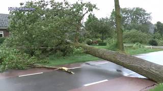 TREE Cut 🌴 During STORM Code Red 🔴 Netherlands Vijfhuizen KjH4Mediacom [upl. by Nyrraf]