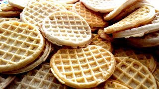 100 Eggo Waffle Challenge [upl. by Alyn]