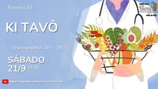 NOS CAMINHOS DA VIDA  Parashah Ki Tetsê  Café com Torah 162 [upl. by Ener243]