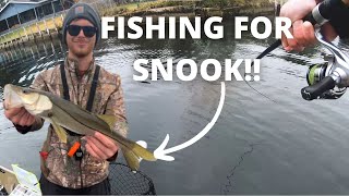 Fishing for snook in HOMOSASSA Florida crazy moment [upl. by Jemine]