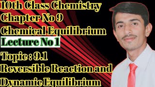 Reversible Reaction and Dynamic Equilibrium  10th Class Chemistry [upl. by Fisoi]