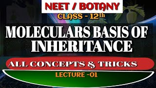 Molecular basis of inheritance Structure of nuclotideGenetics12th BiologyDr Mrityunjay sir [upl. by Heidy]