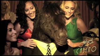 Hollywood Park Casino Commercial quotBuck Whinnersquot [upl. by Llemrej160]