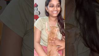 Love magnets ❤️ love you chinnoda oldvideoshortsfeedcatcatloverytshortspetloverpets [upl. by Aihtak]