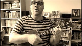 The Wild Rover  Dubliners Cover  Folk Ukulele  Jez Quayle [upl. by Akemehs375]