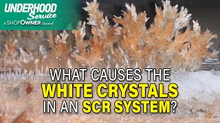 What Causes the White Crystals in an SCR System [upl. by Ettelegna]