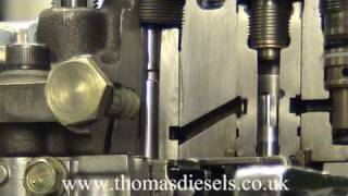 Inside the Yanmar TNV Diesel Pump from thomasdieselscouk [upl. by Eimme]