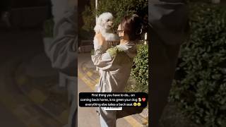 This is so Cute☺️😁 trending funny doglover dog tiktok fyp [upl. by Adnwahsat]