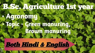 Green manuring  Brown manuring  Agronomy  BSc Ag 1st year  Both Hindi amp English [upl. by Revert]