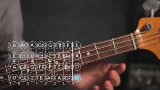 How to Play a D Note  Bass Guitar [upl. by Acnaib]