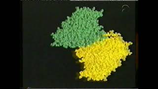 BioBits Programma 29 Blok 58 RNA en DNA bij prokaryoten deel 2 [upl. by Ernesto]