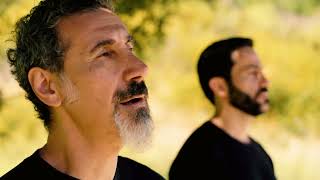 Serj Tankian  Amber Official Video  Feat Sevak Amroyan [upl. by Gill723]