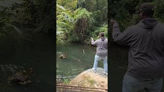 Micropterus Salmoides Fishing bassfishing shortfeed [upl. by Airdnax494]