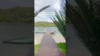 29 Cooran Court Noosa Heads QLD 4567 luxuryrealestate waterfrontproperty luxuryhomes [upl. by Julide]