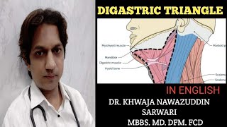 Digastric Triangle  In English  Anatomy  Submandibular region MBBSHead and neck Doctors Corner [upl. by Harden]