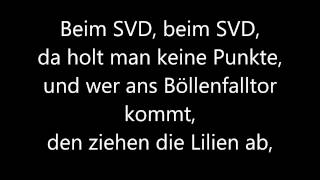 SV Darmstadt 98  Lilie Schuss Lyrics [upl. by Binnie]