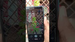 Redmi Note 9 Camera Test  Camera Test Redmi note 9 better than Realme [upl. by Atiuqrahc295]