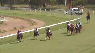 Nanango 16122023 Race 2 [upl. by Petula]