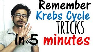 Krebs cycle trick made easy  Remember Krebs cycle in 5 minutes [upl. by Frodine874]