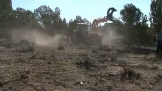 Land Clearing  BH85 Bull Hog  PTO Mulcher [upl. by Nedrud]