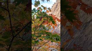 Rugged Mountain ⛰️ in Late October nature rocks [upl. by Sacken]