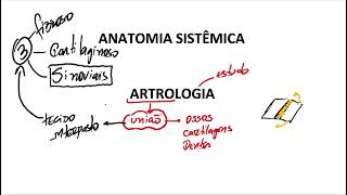 Articulações sinoviais generalidades [upl. by Cicely]