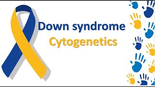 Down Syndrome Cytogenetics [upl. by Kolodgie]