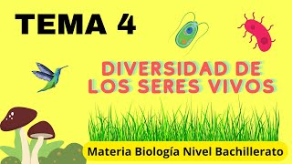 🍄🐢Diversidad de los Seres Vivos🌳🦠  Tema 4  Nivel Prepa [upl. by Oly]