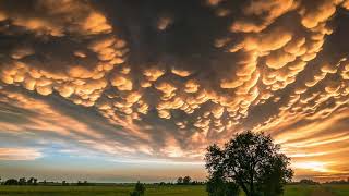 Alleluia by Elaine Hagenberg  Combined Choirs Rocky Mountain High School [upl. by Boynton]