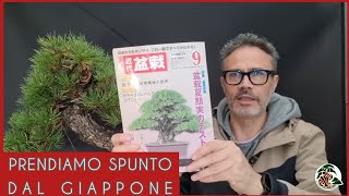 Creare ispirandosi al bonsai del Giappone M° Takashi Iura [upl. by Tnahs]