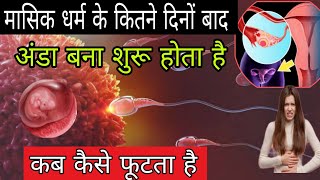 पीरियड के कितने दिनों बाद अंडा बना शुरू होता है how to conceive fast [upl. by Ecaidnac]