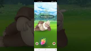 Captura de un Slaking salvaje  Pokémon Go shorts [upl. by Eissim]