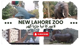 A Day at Lahore Zoo Perfect Spot for Family Fun [upl. by Skill382]