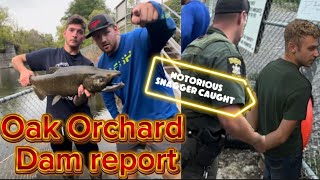 Oak orchard Dam report 8 Busted by the DEC [upl. by Nolahc]