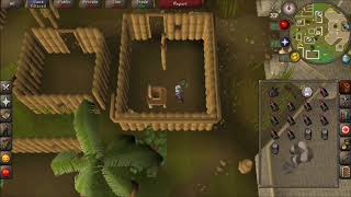 Looting 100 Lucky Implings on Mobile  Episode 1 [upl. by Mayne351]