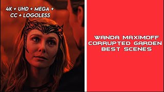 Wanda Maximoff Corrupted Garden Best Scenes 4k Scene Pack [upl. by Hertberg]