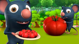 Chuha Aur Tamatar 3D Animated Hindi Moral Stories for Kids चूहा और टमाटर Rat Panchatantra Tales [upl. by Dnaltroc]